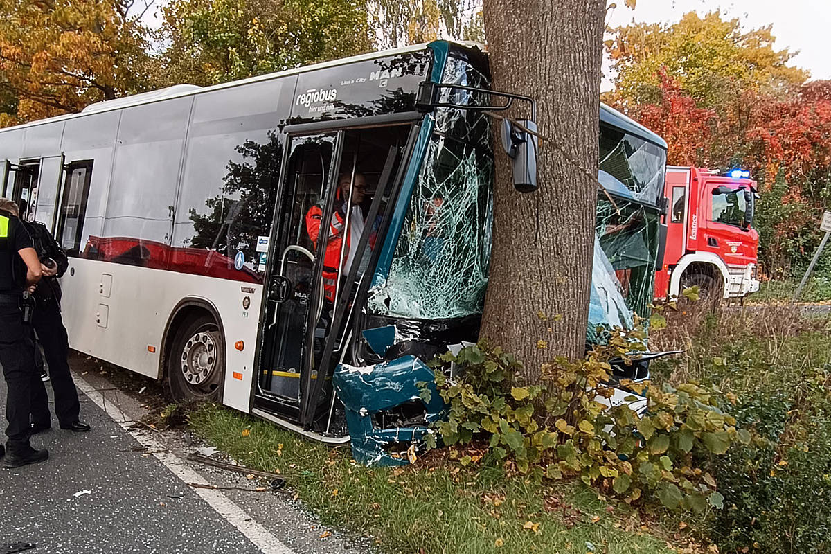 AltkreisBlitz: Bus Kollidiert Mit Baum: Fünf Verletzte Bei Unfall ...