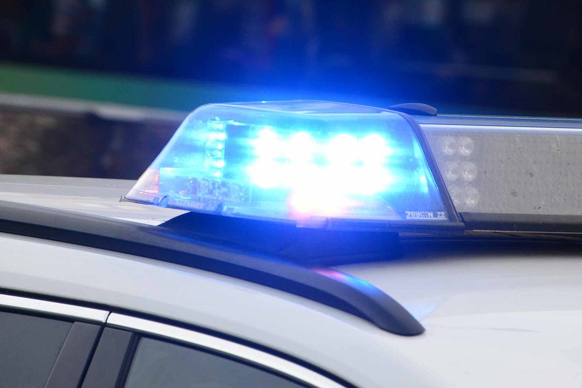 Polizisten kontrollieren Auto mit Blaulicht - und erleben faustdicke  Überraschung