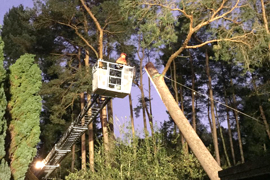 AltkreisBlitz Baum droht auf Haus zu stürzen Feuerwehr